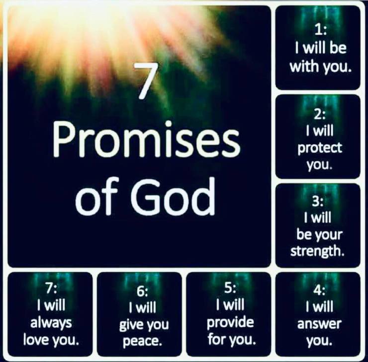 48427832_1146709255491276_8406513937700356096_n