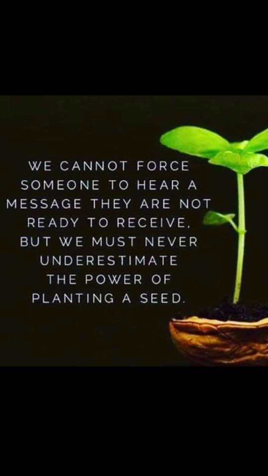 53403596_2550511318296962_1645878214251249664_n